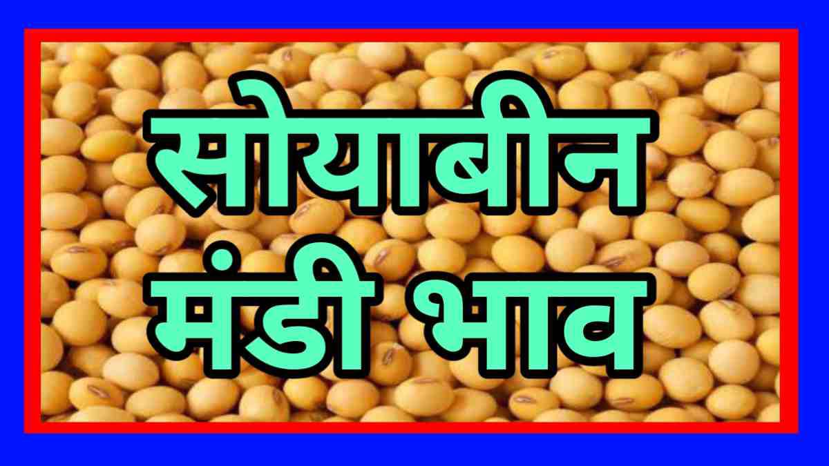 सोयाबीन मंडी भाव 13-03-2023